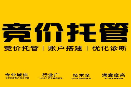 某科技公司如何通过托管SEM竞价提高品牌知名度